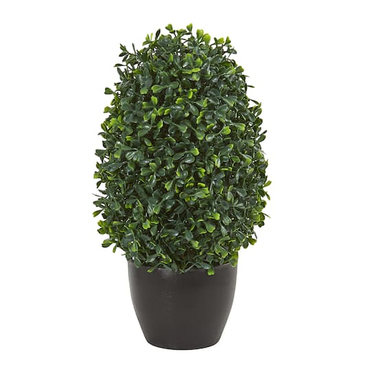 13” Boxwood Topiary Tree in Black Planter